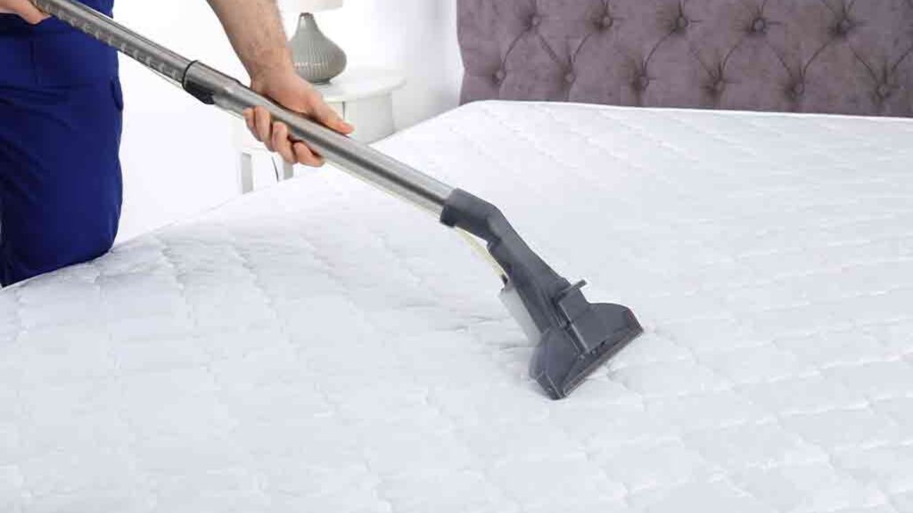 Mattress Cleaning Services